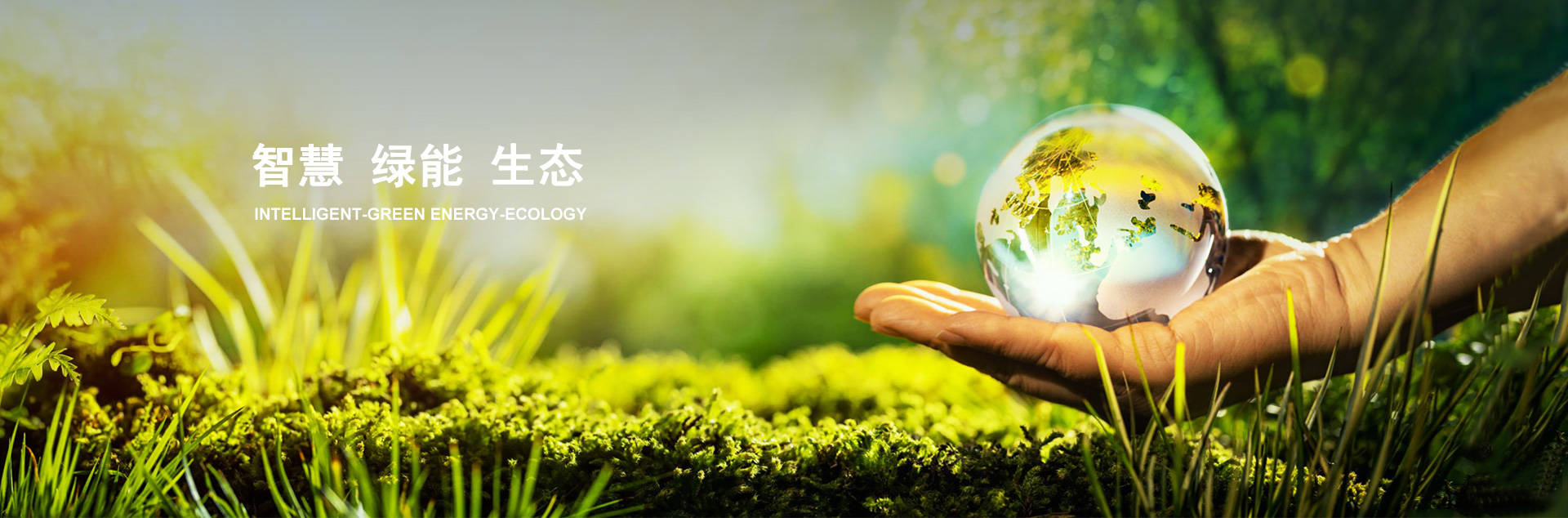 ϣwilliamhill(й)-ٷվ